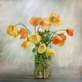 thumbnail image 2 of Disher, Mandy 15x15 White Modern Wood Framed Museum Art Print Titled - In the window, 2 of 4