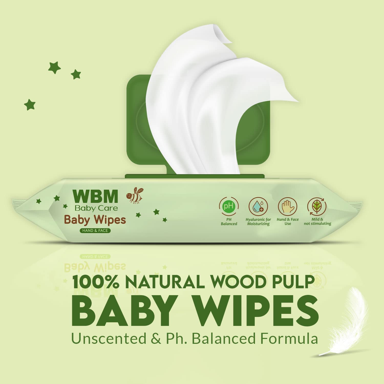 WBM Unscented Large Flushable Wipes, 6 Flip-Top Packs | 48 Wipes per Pack (Total 288 Wipes), 5.5 lb