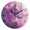 Black, variant on Wolf in Pinkish Clouds with Flash Round Wall Clock Silent Analog Battery Operated Gold Pointer Home Decor 9.84" Diameter