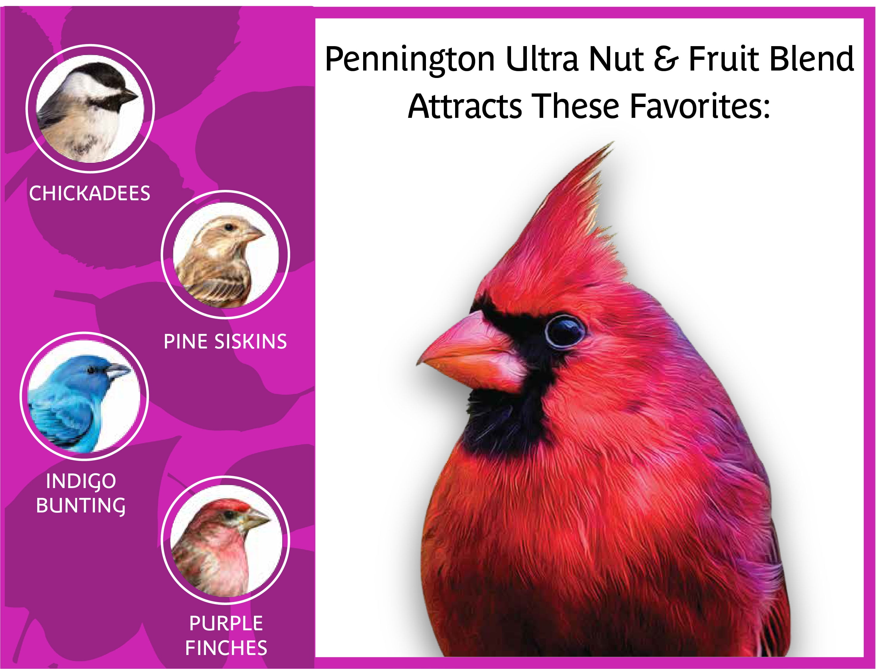 Pennington Ultra Fruits & Nuts Blend Dry Wild Bird Feed, 7 Pounds