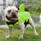thumbnail image 2 of M, Verde Chaleco salvavidas para perros Chaleco de seguridad Cachorros Mascotas Traje de baño ajustable Perros pequeños y medianos Natación, 2 of 5