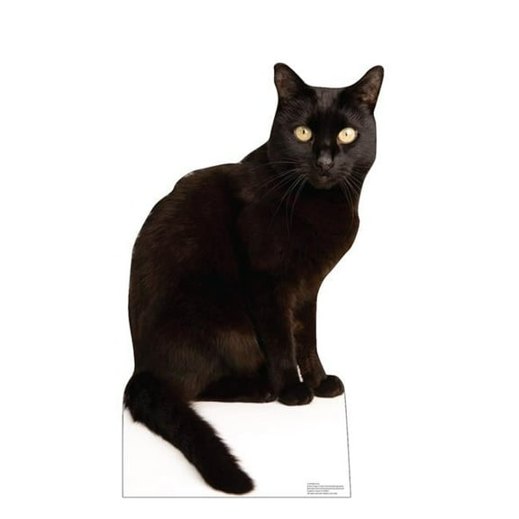 36 x 21 in. Black Cat Life-Size Cardboard Cutout