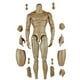 thumbnail image 4 of 1:6 Scale Action Figure Male Muscle Body Toys Version 2.0 For Ttm19 Banmo, 4 of 5