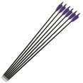 thumbnail image 2 of AMEYXGS 6/12Pcs 30Inch Carbon Arrow Spine 500 Practice Hunting Arrows with 100 Grain Removable Tips for Compound & Recurve Bow & Longbow, 2 of 6