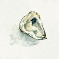 thumbnail image 3 of Caroline, Emma 20x20 Black Modern Framed Museum Art Print Titled - Old Salt Shell II, 3 of 5