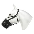 thumbnail image 3 of Best Friend Have a Heart Muzzle Horse, 3 of 5