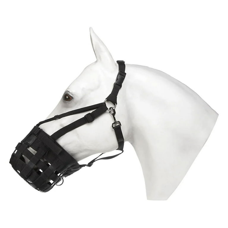 Have a 2025 heart grazing muzzle