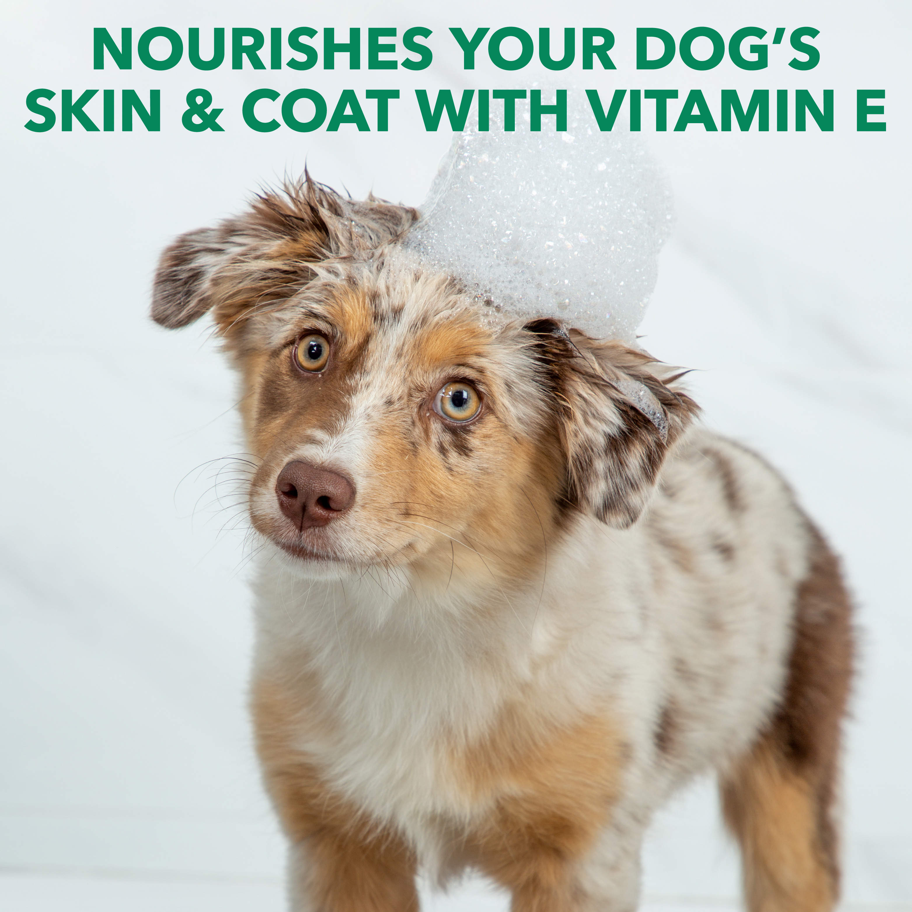 Nature's Shield Natural Flea & Tick Dog Shampoo 14oz photo 6