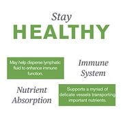 Lymphatic Drainage Drops - 2 Fl OZ Bottle (59 Servings)