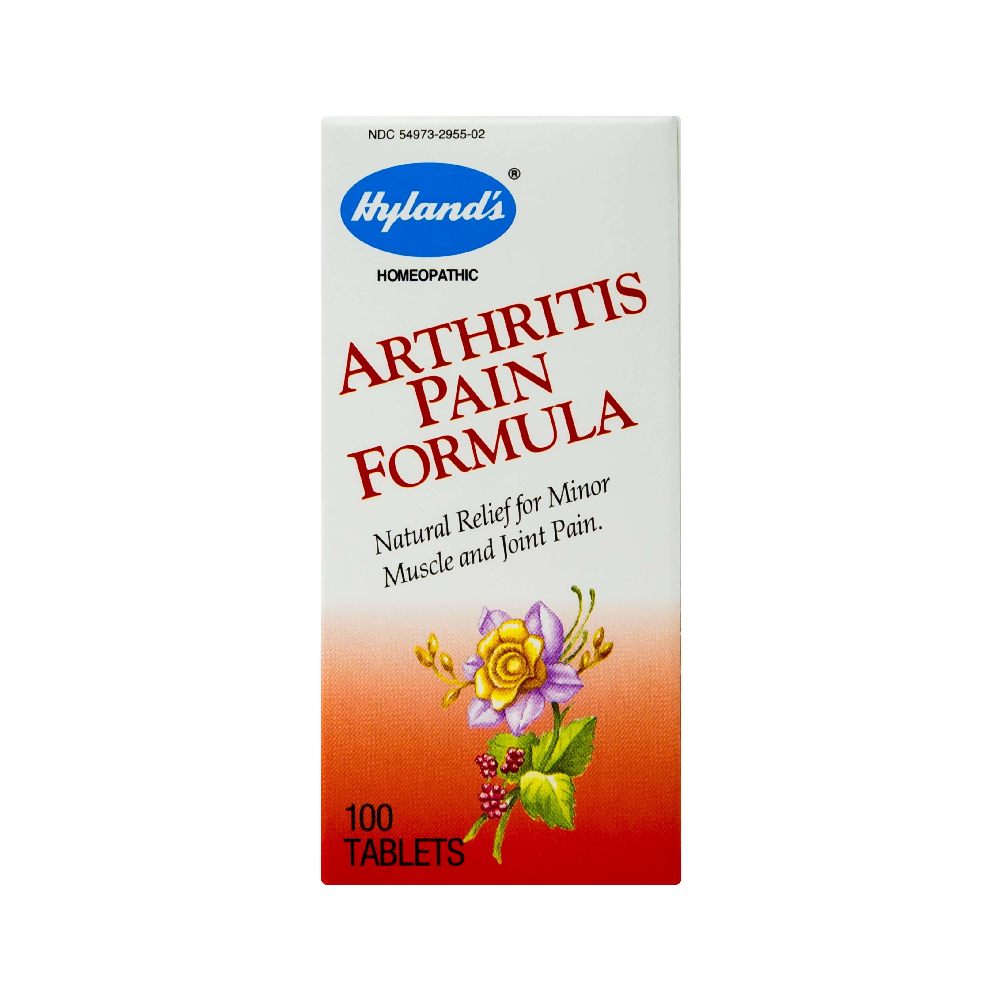 Hyland's Arthritis Pain Formula Tablets, Natural Relief of Minor Muscle