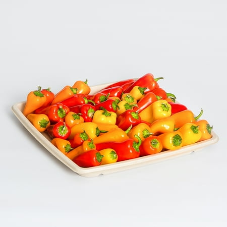 16 Inch Large Square Platter - Sabert Terrapac Natural, Eco-Friendly Square Food Platter Tray, 12 x 12 Inch | 25/Case