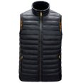 thumbnail image 5 of Chaleco de algodón informal de otoño e invierno para hombre, chaqueta acolchada de algodón sin mangas con cuello vertical de gran tamaño, ropa simple europea y americana para hombre, 5 of 5