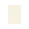 thumbnail image 2 of LUXPaper Papier Cartonné 12 Pouces x 18 Pouces / Naturel / Couverture 80lb / 50 Unités, 2 of 4