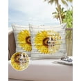 thumbnail image 6 of Pack of 2 Outdoor Pillow Covers, Sunflower Butterfly Word Text on Vintage Wooden Background Waterproof Square Throw Pillowcase Cushion Decorative Pillow Covers for Couch Patio Tent, 20x20 in, 6 of 6