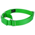 thumbnail image 5 of Country Brook Design&reg; Martingale Heavyduty Nylon Dog Collar/Double Handle Leash, 5 of 7