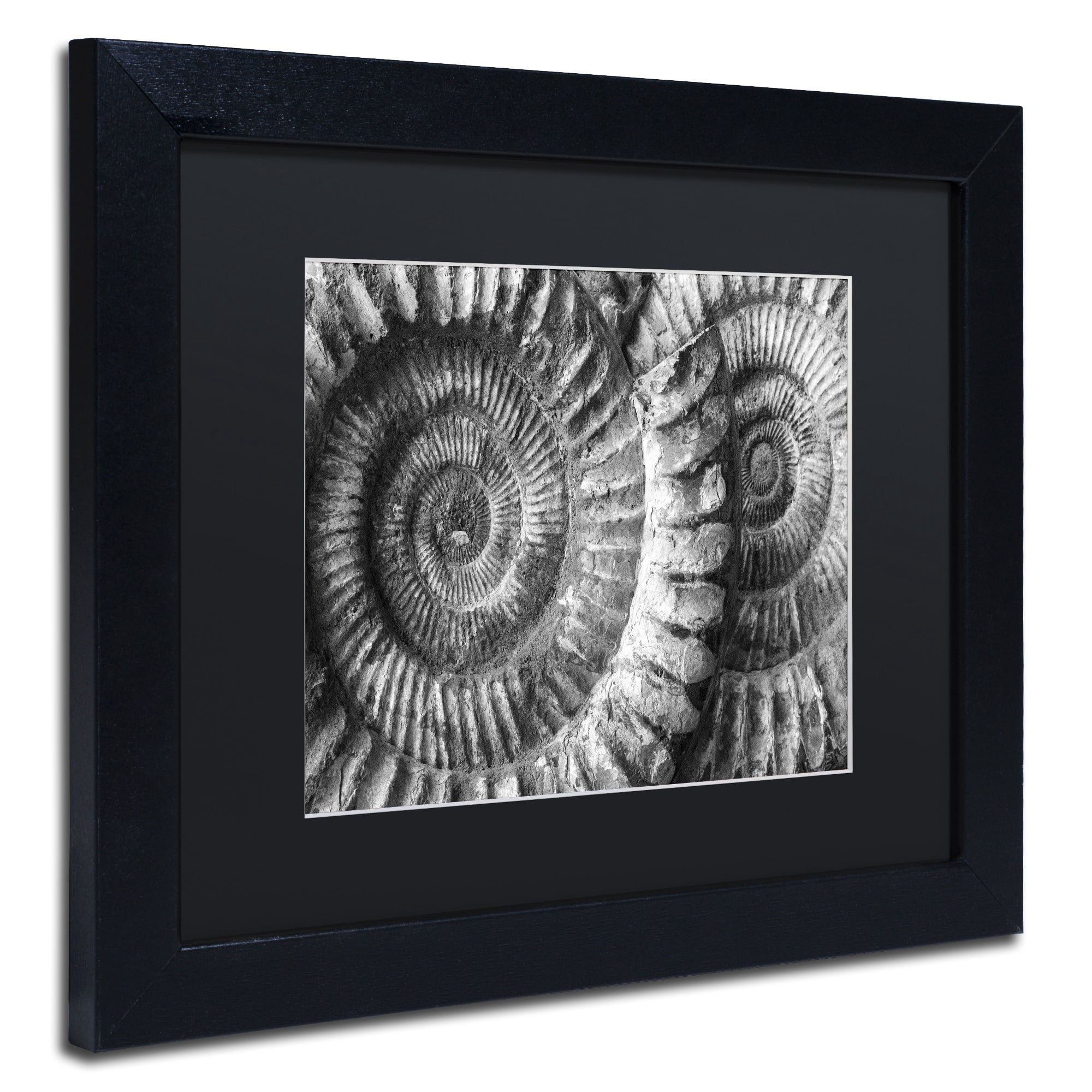 Moises Levy 'Amonita 3' Black Matted Framed Art