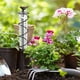 thumbnail image 4 of Capacity Glass Spiral Rain Gauge,Cast Iron Bird Hanging Rain Gauge, 4 of 5