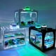 thumbnail image 5 of Pecera pequeña, pequeña, creativa, ecológica, de escritorio, micropaisaje, cubo, pecera, mini acuario de peces tropicales con luces LED, 5 of 6