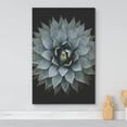 thumbnail image 2 of wall26 Canvas Print Wall Art Close Up Dark Pastel Blue Southwest Succulent Nature Wilderness Photography Realism Floral Botanical Multicolor for Living Room, Bedroom, Office - 16"x24", 2 of 5