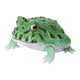 thumbnail image 4 of Figura original de Bandai Gashapon, organismo, libro ilustrado, rana cornuda, Breviceps Adspersus, juguetes para niños, regalo, modelo coleccionable, 4 of 5
