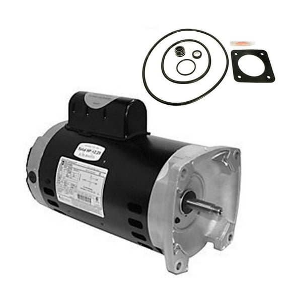 Puri Tech Motork-P2R5F-126L-NEW Electric Motor, 1 Piece