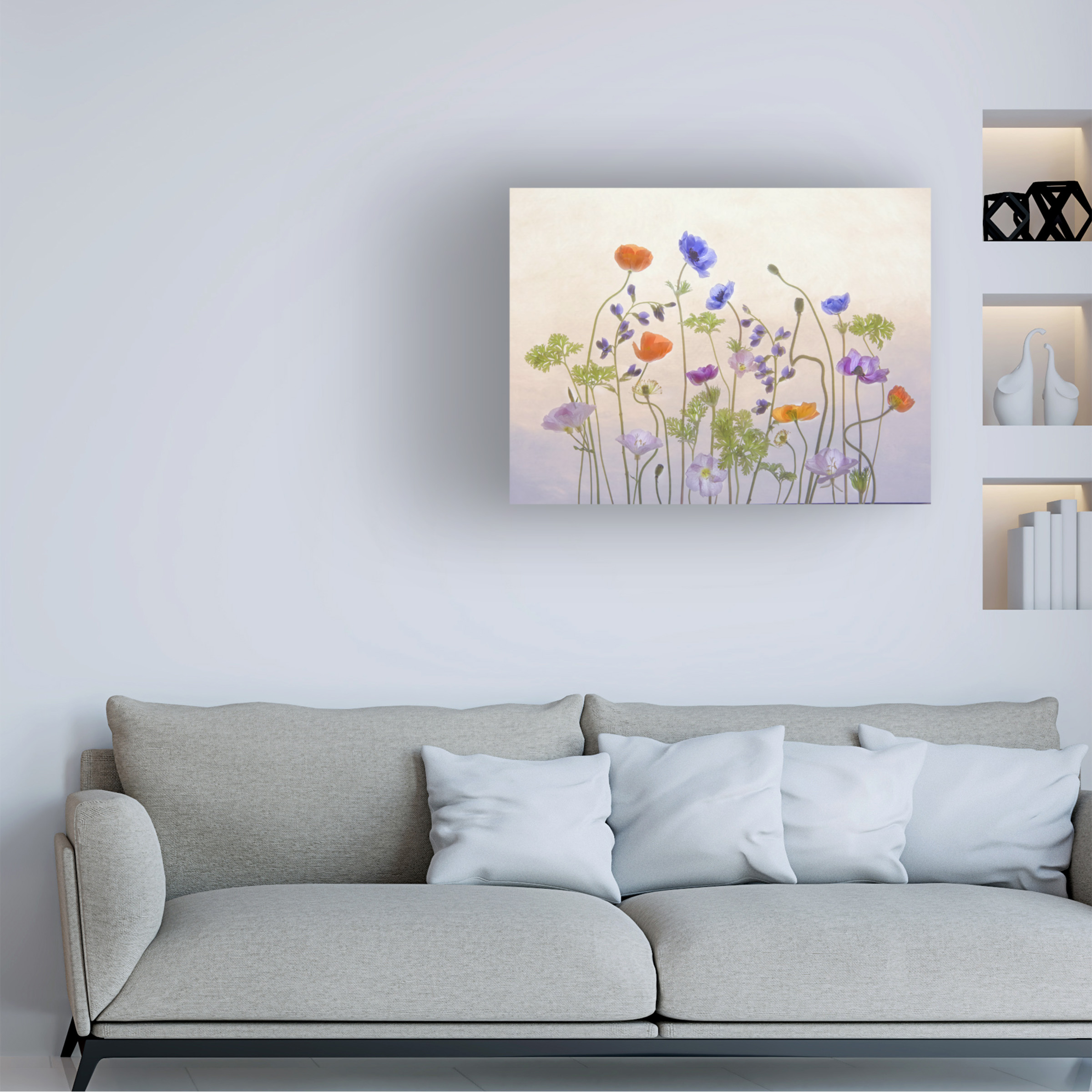 Catherine W 'Poppy A Anemone' Canvas Art