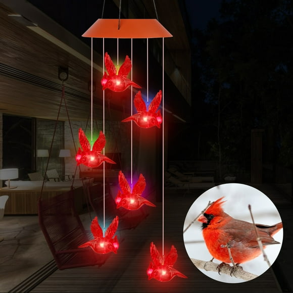 Solar Cardinal