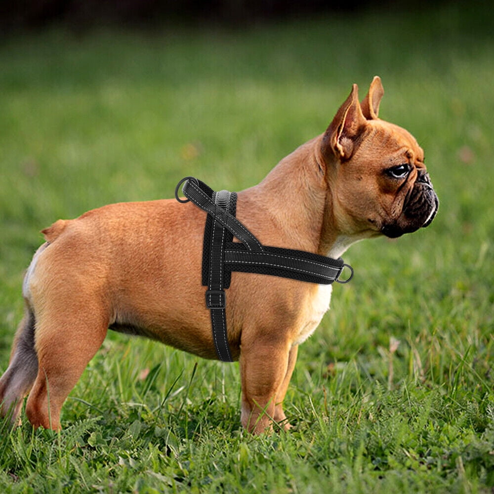 Pet Artist No Pull Dog Pet Dog Harness Reflective Nylon Mesh Padded with Handle Front Leading