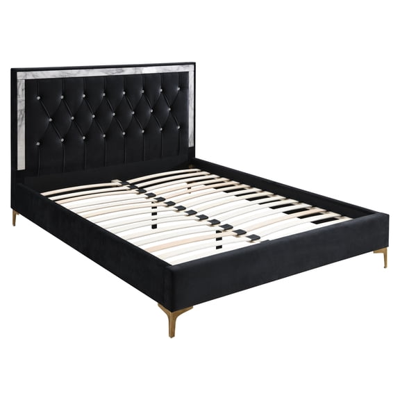 ACME Rowan Queen Bed in Black