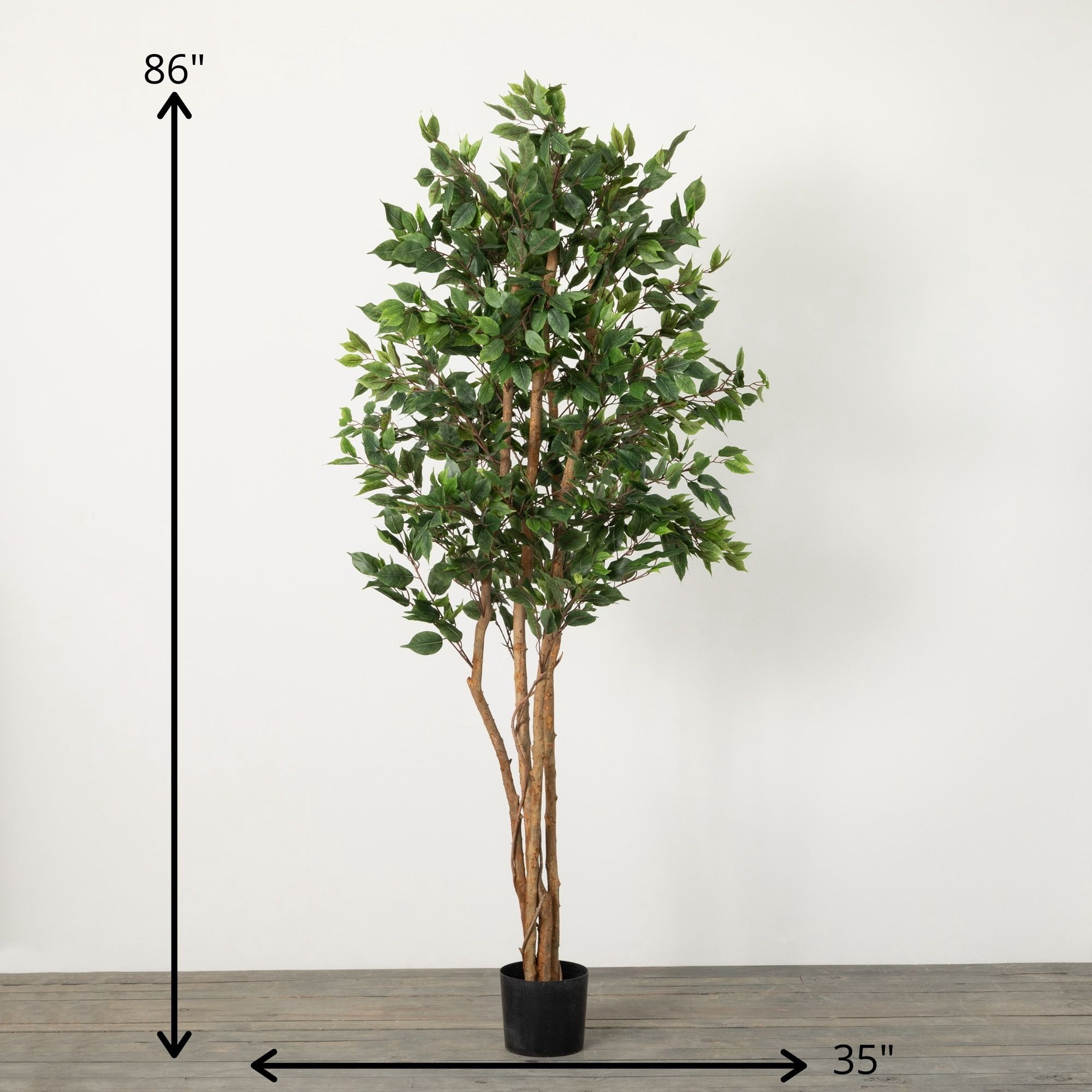 7'2"H Sullivans Oversized Potted Ficus Tree, Green