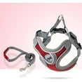 thumbnail image 2 of Dog Harness with Leash Set, No Pull Adjustable Step in Collars Frenchie Harness Vest for Small Medium Dogs Walking and Running(S, Red), 2 of 10