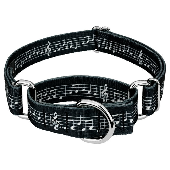 Country Brook Petz® Sheet Music Martingale Dog Collar, Extra Large