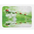 thumbnail image 1 of Ladybugs Bath Mat, Ladybugs on A Stem over the Water Striped Animals Fresh Environmental Life Image, Non-Slip Plush Mat Bathroom Kitchen Laundry Room Decor, 29.5 X 17.5 Inches, Red Green, Ambesonne, 1 of 2
