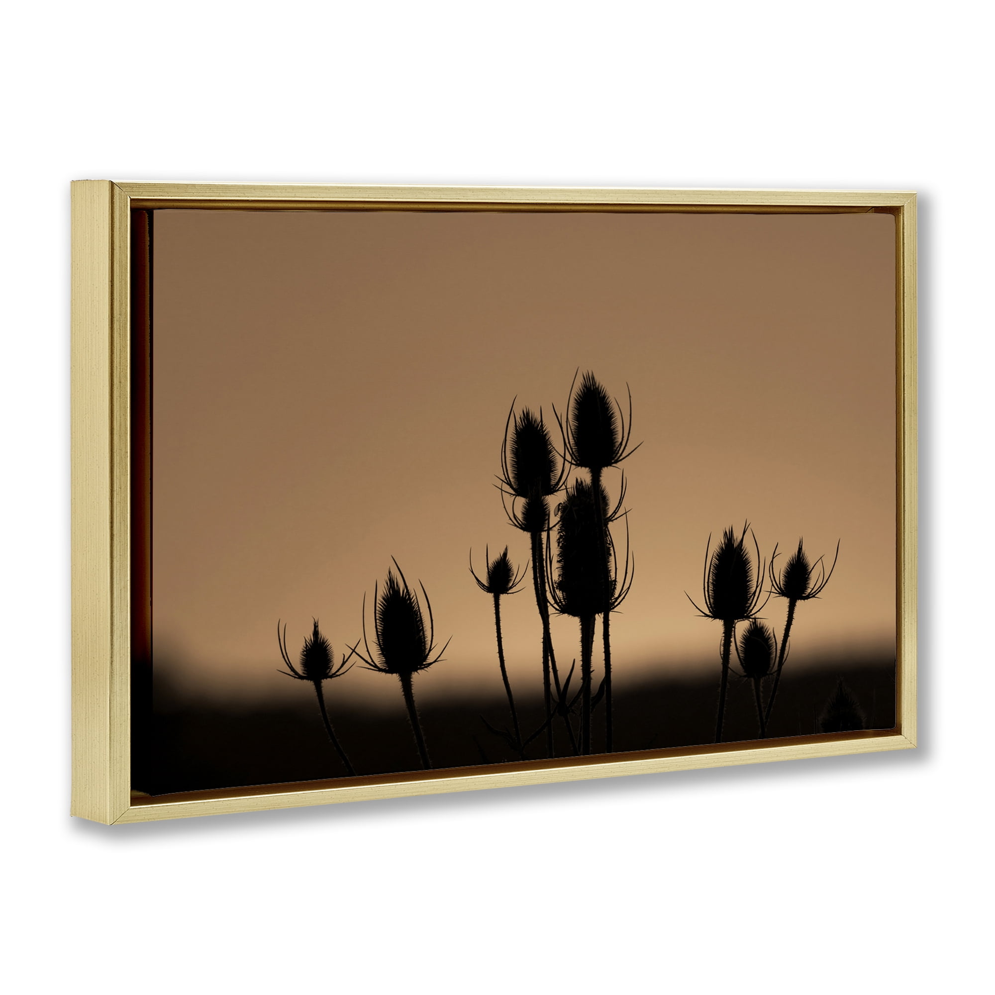 Stupell Industries Botanical Sprigs Silhouettes Plants & Flowers Photography Gold Floater Framed Canvas Art Print Wall Art, 31 x 21
