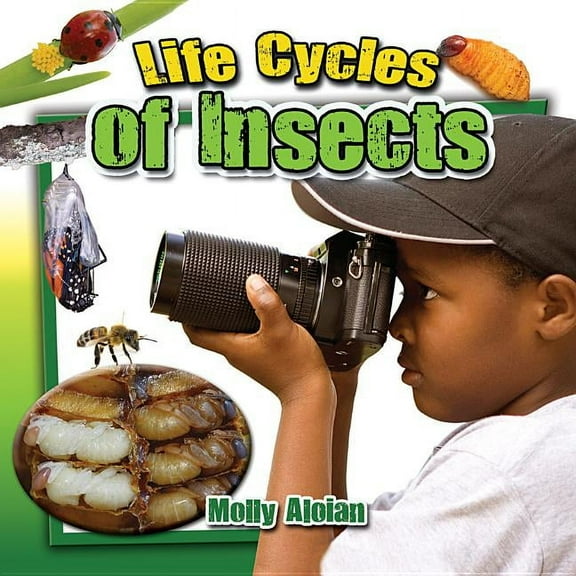 Insects Close-Up: Life Cycles of Insects (Paperback)