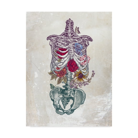 Trademark Fine Art 'Flowers From Within' Canvas Art by Rachel Caldwell