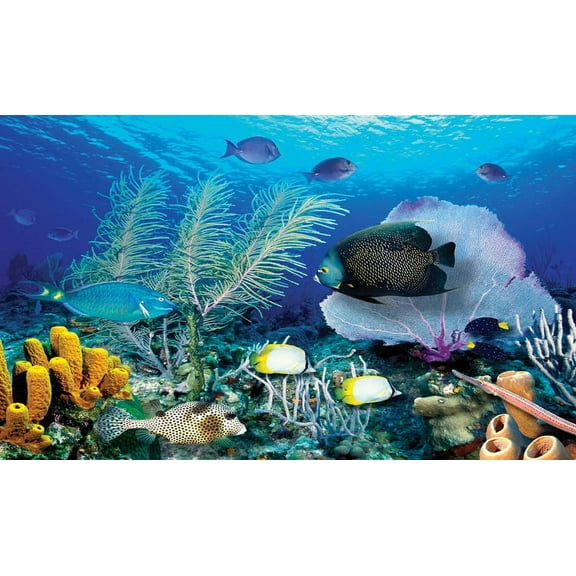 Biggies Window Well Scenes - Ocean-120