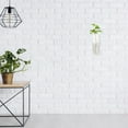 thumbnail image 3 of Hydroponic Wall Hanging Vase Plant Terrarium House Plants Indoor Decorate Small Glass Vases, 3 of 6
