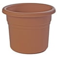 thumbnail image 3 of Bloem Posy Plastic Pot Planter (Set of 12), 3 of 3