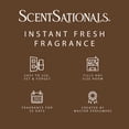 thumbnail image 6 of (2 pack) ScentSationals Aroma Accent Fragrance Oil, Feelin Cozy, 6 of 8