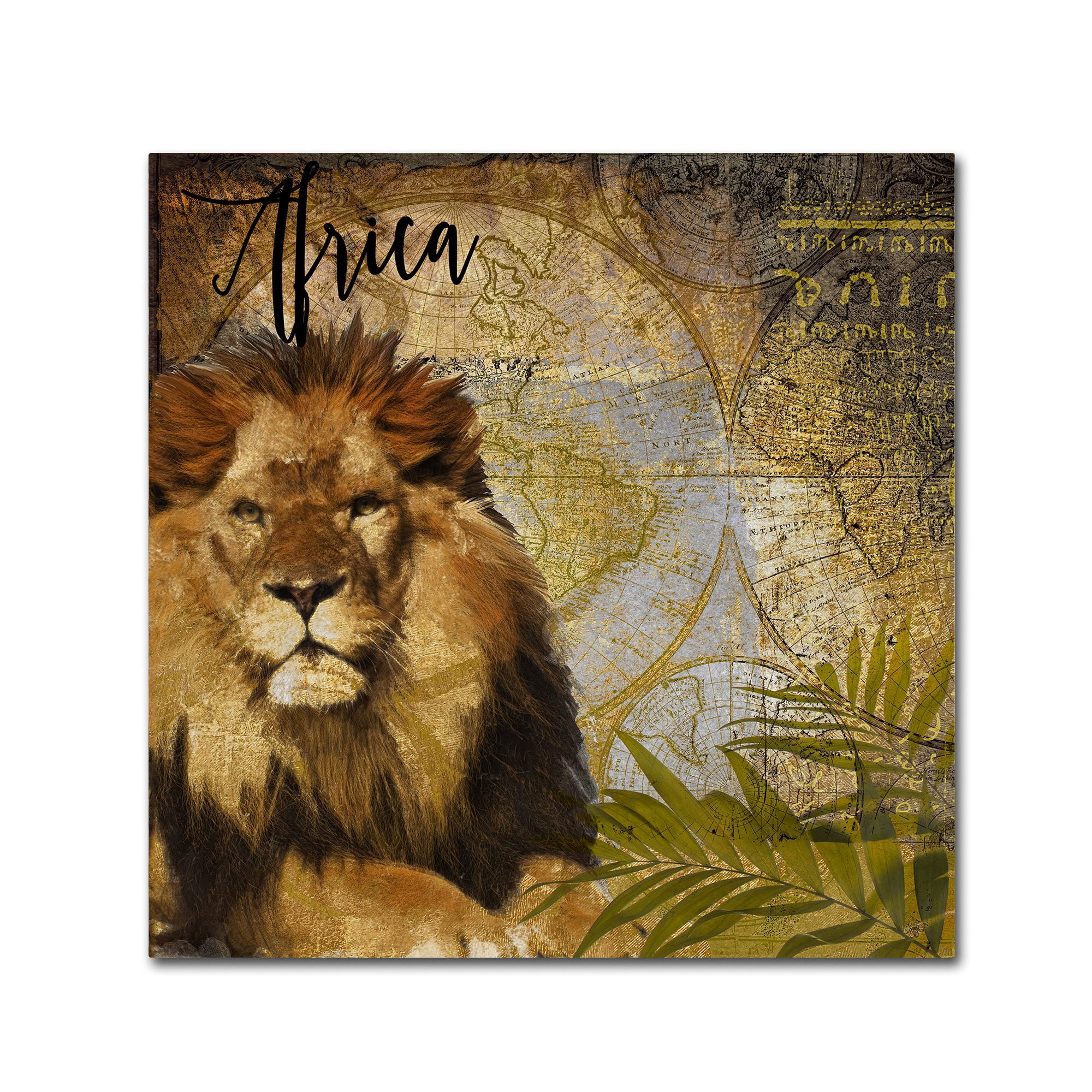 Trademark Fine Art "Taste Of Africa I" Canvas Art by Color Bakery