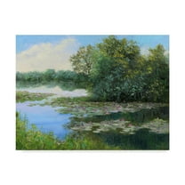 Trademark Fine Art 'Water Lily Pond' Canvas Art by Mary Jean Weber