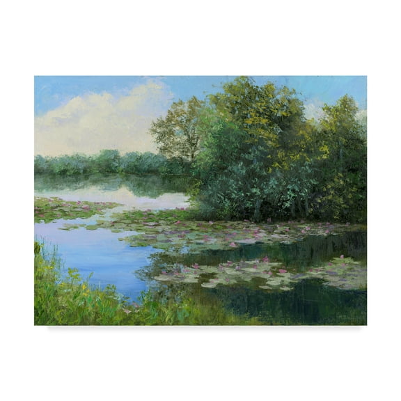 Trademark Fine Art 'Water Lily Pond' Canvas Art by Mary Jean Weber