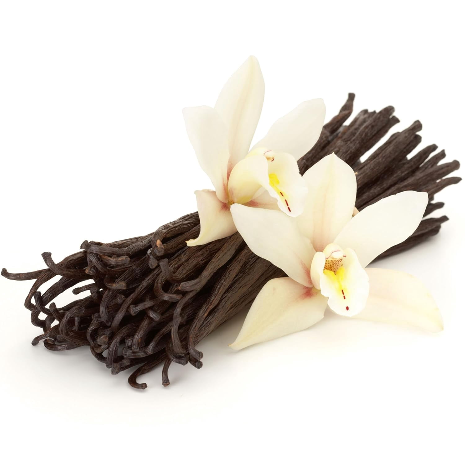 Comoros Vanilla Beans Whole Grade A Vanilla Pods for Homemade Vanilla Extract, Baking, Ice Cream, Flavoring, & Vanilla Powder - 1 LB