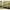White, variant on ACME Furniture Thomas Twin Bunk Bed in White