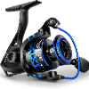 Black-500
