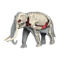 thumbnail image 2 of DOMELAY Animal Body Model Classroom Body Organ Parts for Study Tool Ages 8+ Children 3109, 2 of 9