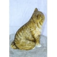 thumbnail image 5 of Nifao Colored Cat Sitting Bronze Statue, Charming for Cat Lovers – Home Decor Sculpture, 12"L x 10"W x 14"H, 5 of 10