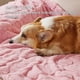 thumbnail image 2 of Manta para perros, lavable, suave y esponjosa, de forro polar coral, rosa, 2 of 8