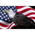 thumbnail image 2 of American Eagle with Flag Wall Mural by Wallmonkeys Peel and Stick Graphic (18 in W x 12 in H) WM168077, 2 of 4